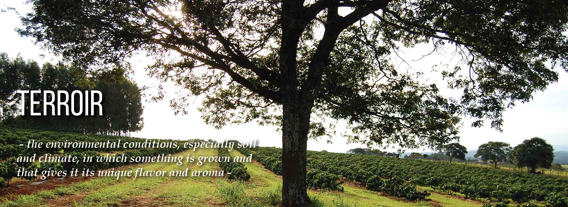 FarmPageHeader FarmPageHeader