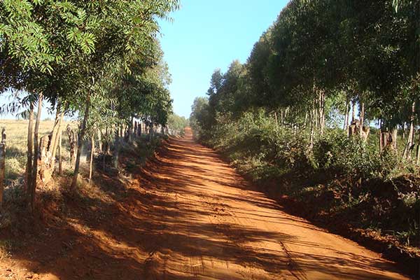 RoadToFarm